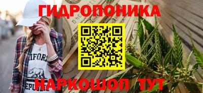 ГАЛЛЮЦИНОГЕННЫЕ ГРИБЫ Камышлов