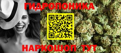 ГАЛЛЮЦИНОГЕННЫЕ ГРИБЫ Камышлов