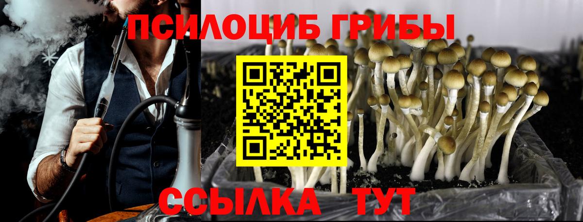 Псилоцибиновые грибы мухоморы Арсеньев